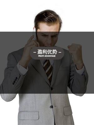 盈利優勢